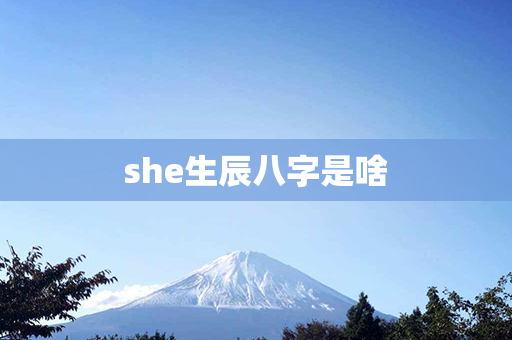 she生辰八字是啥