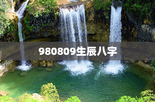 980809生辰八字