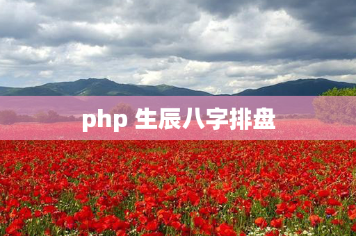 php 生辰八字排盘