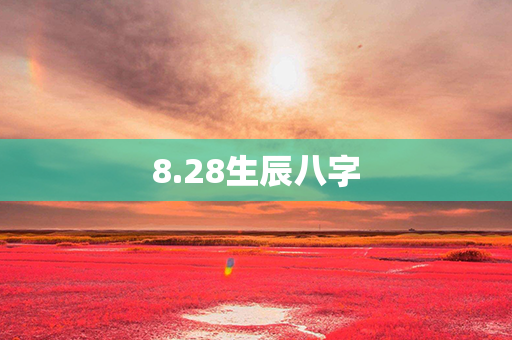 8.28生辰八字