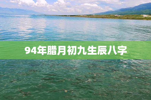 94年腊月初九生辰八字