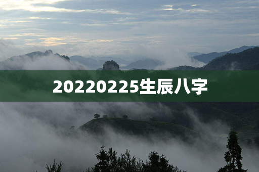 20220225生辰八字