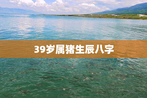 39岁属猪生辰八字