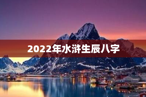 2022年水浒生辰八字