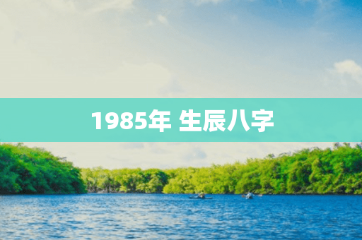 1985年 生辰八字