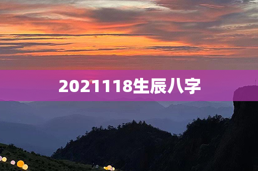 2021118生辰八字