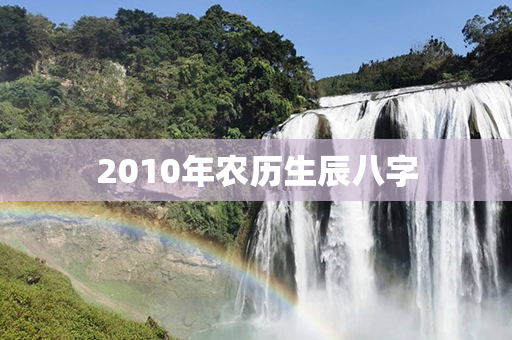 2010年农历生辰八字