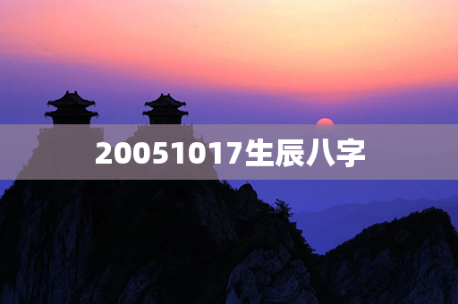 20051017生辰八字