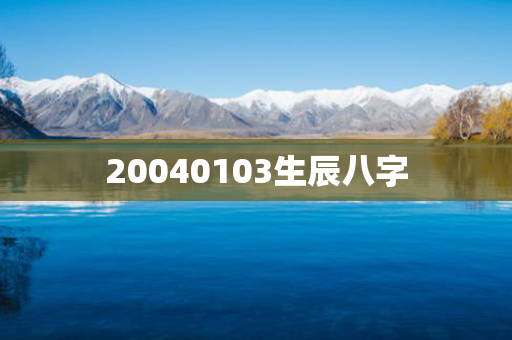 20040103生辰八字