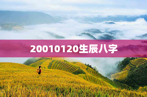 20010120生辰八字