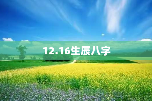 12.16生辰八字