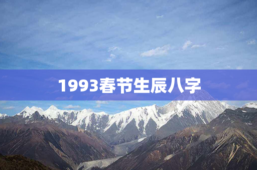 1993春节生辰八字