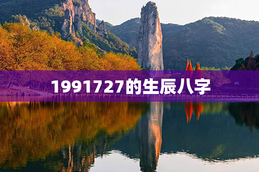 1991727的生辰八字