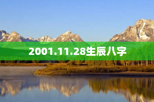 2001.11.28生辰八字