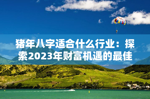 猪年八字适合什么行业：探索2023年财富机遇的最佳行业选择