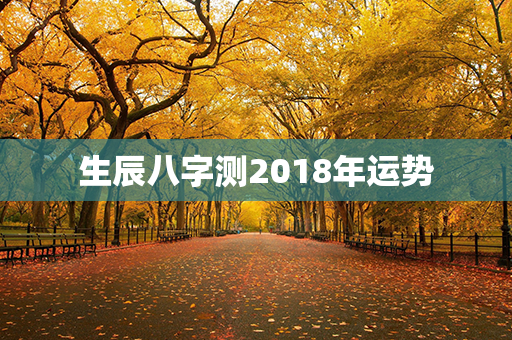 生辰八字测2018年运势