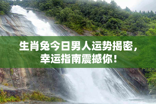 生肖兔今日男人运势揭密，幸运指南震撼你！