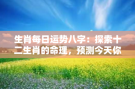 生肖每日运势八字：探索十二生肖的命理，预测今天你的好运程