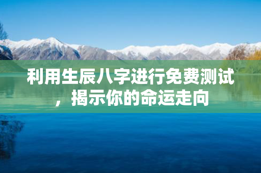 利用生辰八字进行免费测试，揭示你的命运走向