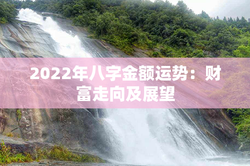 2022年八字金额运势：财富走向及展望