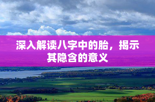 深入解读八字中的胎，揭示其隐含的意义