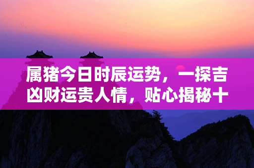 属猪今日时辰运势，一探吉凶财运贵人情，贴心揭秘十二宫位位置定律