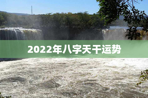 2022年八字天干运势