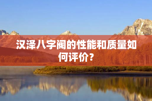 汉泽八字阀的性能和质量如何评价？