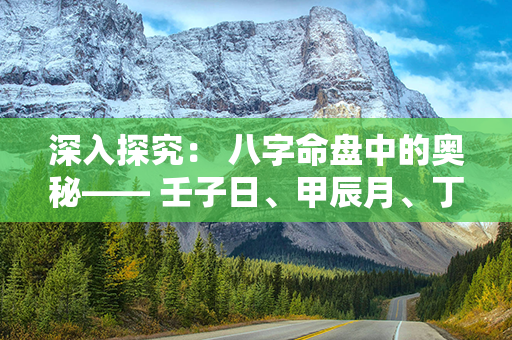 深入探究： 八字命盘中的奥秘—— 壬子日、甲辰月、丁亥时