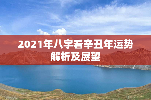 2021年八字看辛丑年运势解析及展望