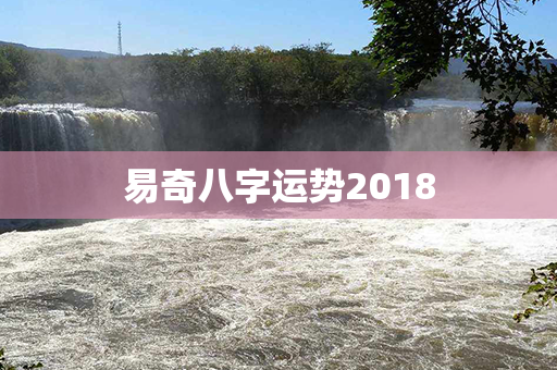 易奇八字运势2018