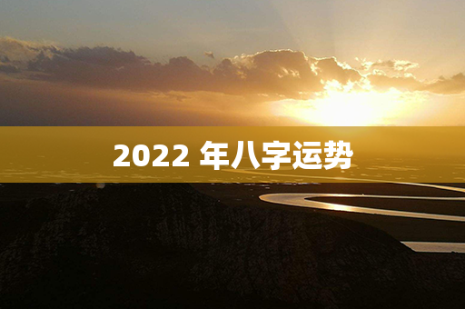 2022 年八字运势