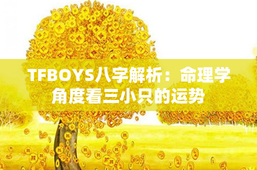 TFBOYS八字解析：命理学角度看三小只的运势