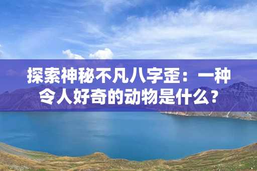 探索神秘不凡八字歪：一种令人好奇的动物是什么？