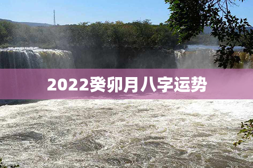 2022癸卯月八字运势