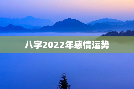 八字2022年感情运势