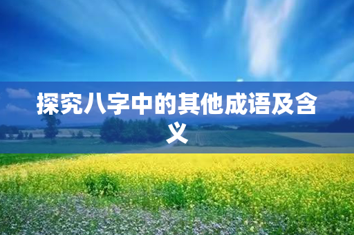 探究八字中的其他成语及含义