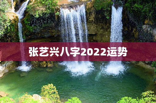 张艺兴八字2022运势