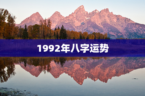 1992年八字运势