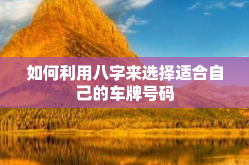 如何利用八字来选择适合自己的车牌号码