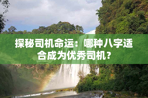 探秘司机命运：哪种八字适合成为优秀司机？