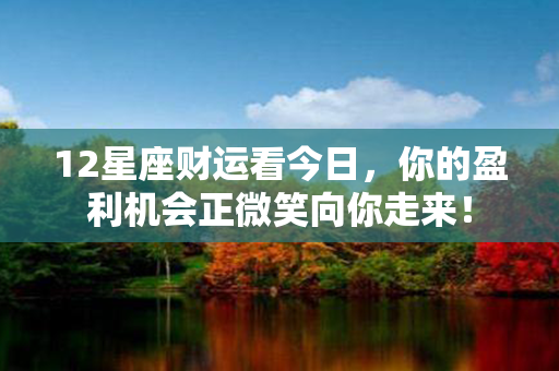 12星座财运看今日，你的盈利机会正微笑向你走来！