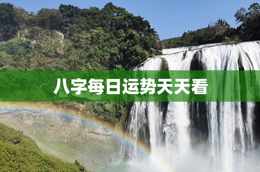 八字每日运势天天看