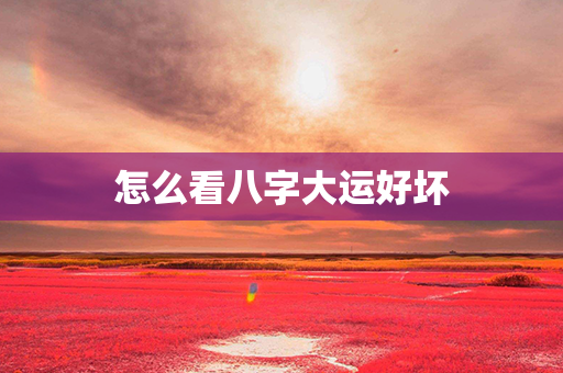 怎么看八字大运好坏