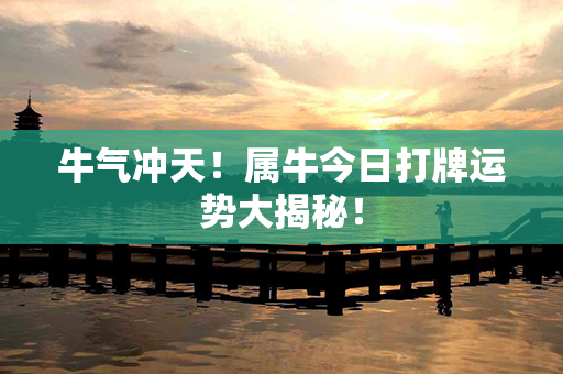 牛气冲天！属牛今日打牌运势大揭秘！