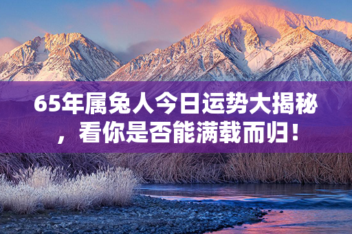 65年属兔人今日运势大揭秘，看你是否能满载而归！