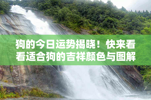 狗的今日运势揭晓！快来看看适合狗的吉祥颜色与图解对运势的影响！