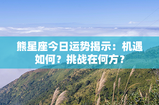 熊星座今日运势揭示：机遇如何？挑战在何方？