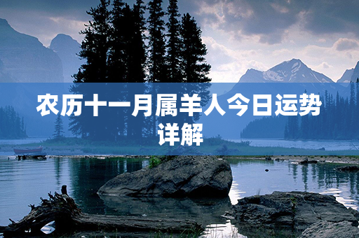 农历十一月属羊人今日运势详解