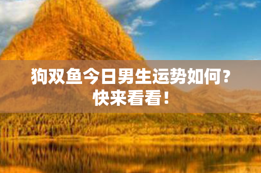 狗双鱼今日男生运势如何？快来看看！